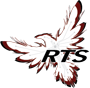 Raven Technology Solutions Icon